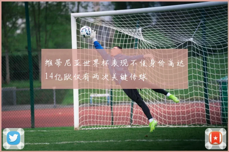 维蒂尼亚世界杯表现不佳身价高达14亿欧仅有两次关键传球