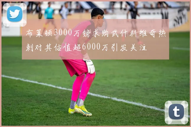 布莱顿3000万镑求购武什科维奇热刺对其估值超6000万引发关注